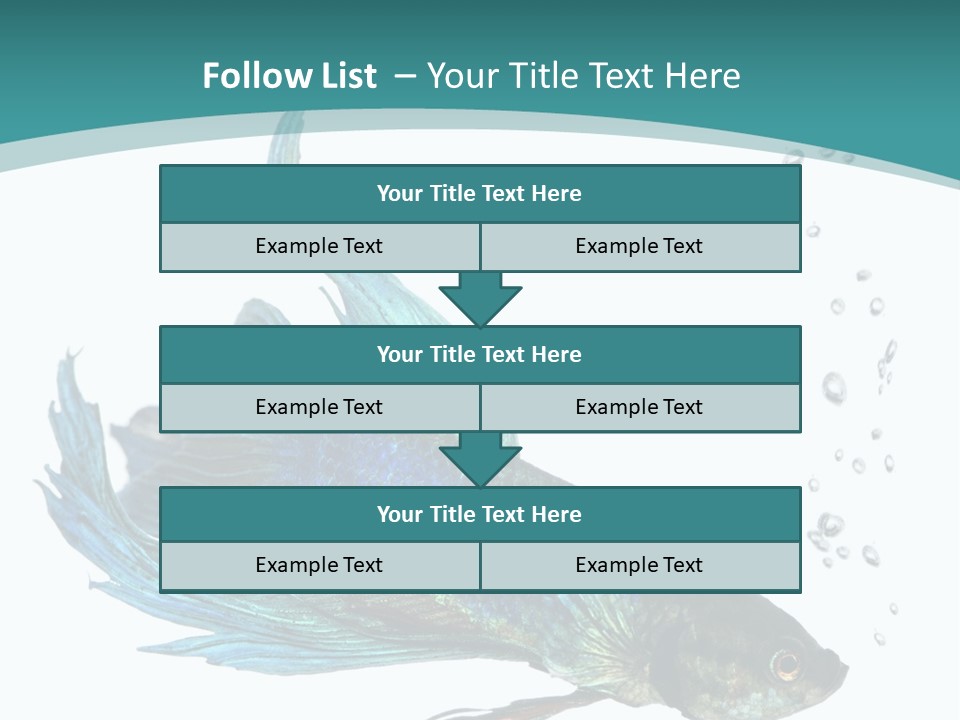 Shot Of A Blue Siamese Fighting Fish Under Water In Front Of A White Background PowerPoint Template