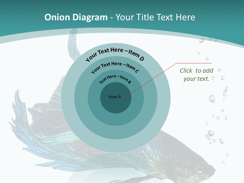 Shot Of A Blue Siamese Fighting Fish Under Water In Front Of A White Background PowerPoint Template