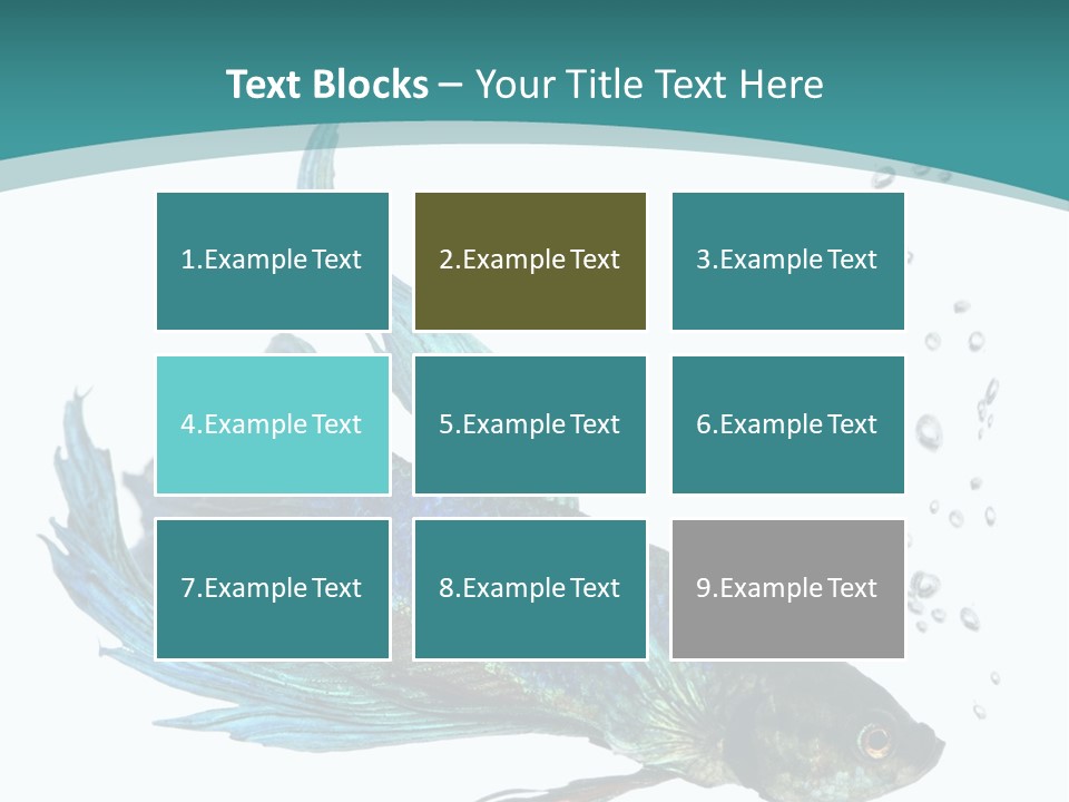 Shot Of A Blue Siamese Fighting Fish Under Water In Front Of A White Background PowerPoint Template