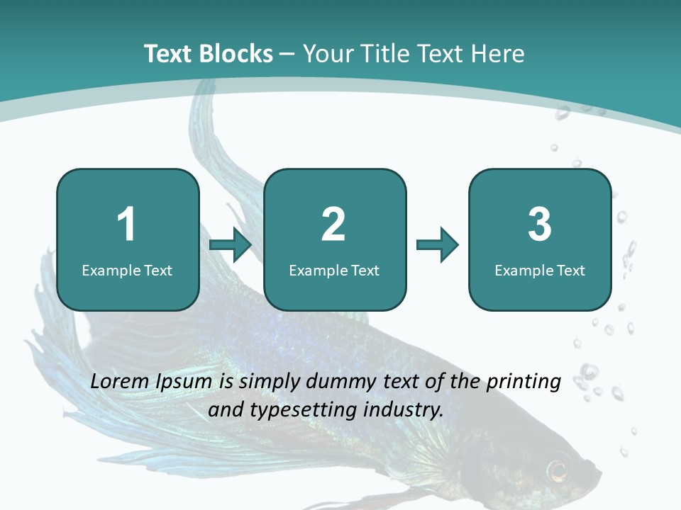 Shot Of A Blue Siamese Fighting Fish Under Water In Front Of A White Background PowerPoint Template