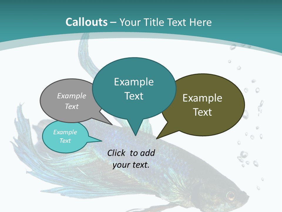 Shot Of A Blue Siamese Fighting Fish Under Water In Front Of A White Background PowerPoint Template