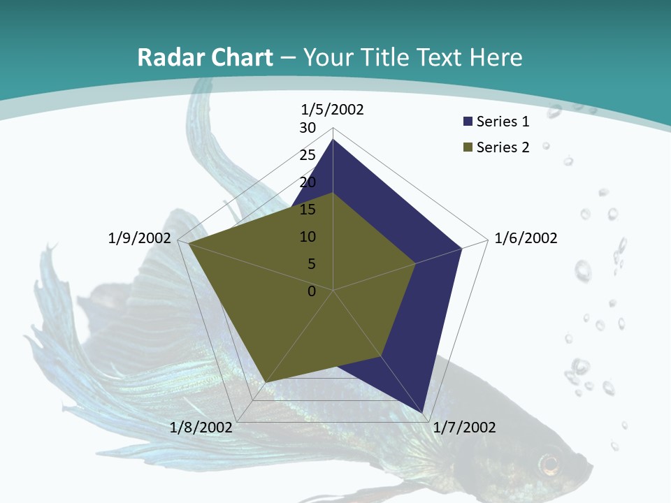 Shot Of A Blue Siamese Fighting Fish Under Water In Front Of A White Background PowerPoint Template