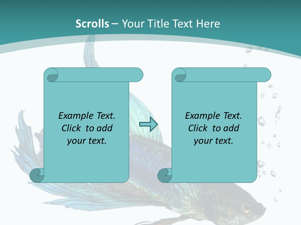 Shot Of A Blue Siamese Fighting Fish Under Water In Front Of A White Background PowerPoint Template