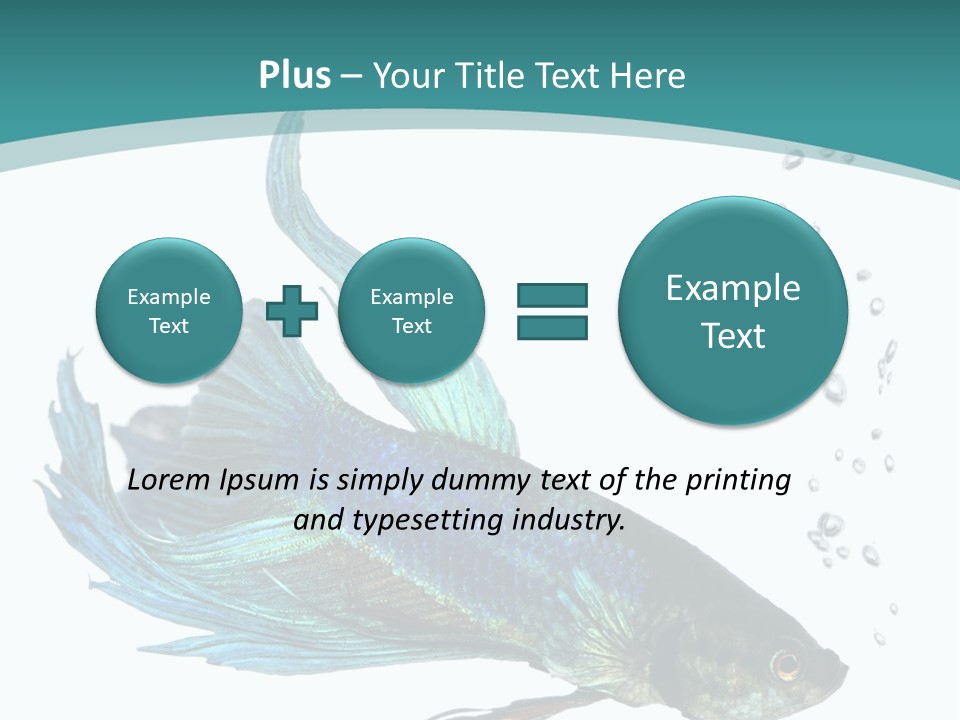 Shot Of A Blue Siamese Fighting Fish Under Water In Front Of A White Background PowerPoint Template