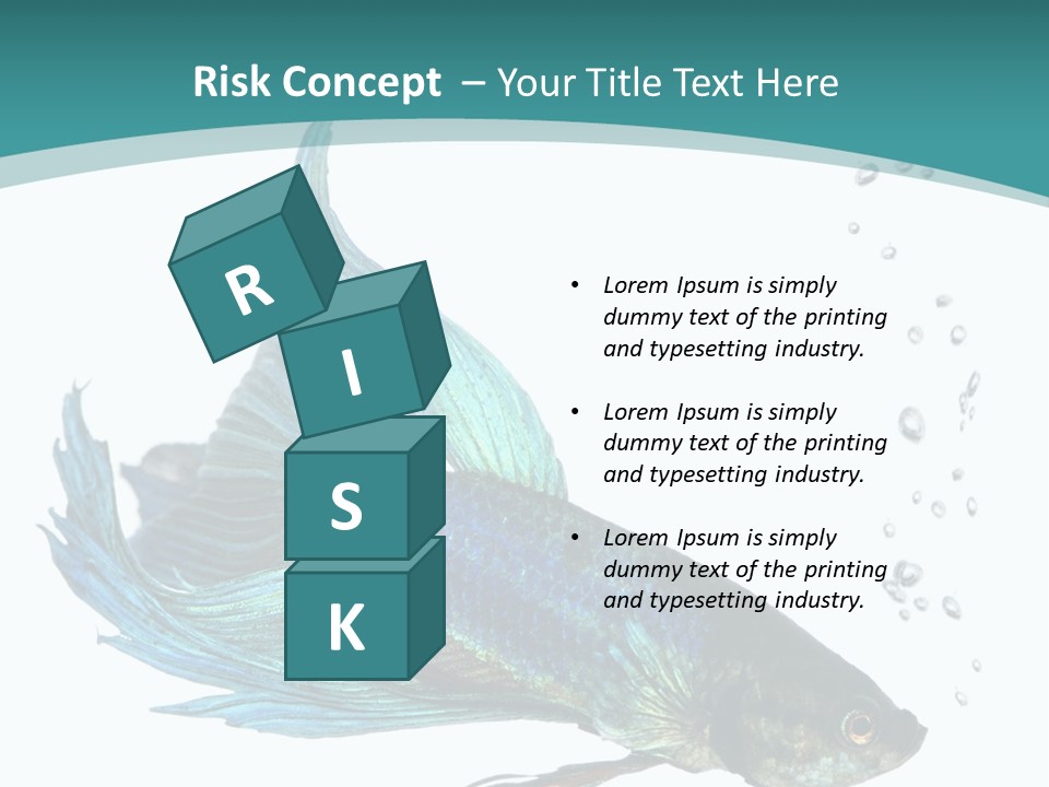 Shot Of A Blue Siamese Fighting Fish Under Water In Front Of A White Background PowerPoint Template