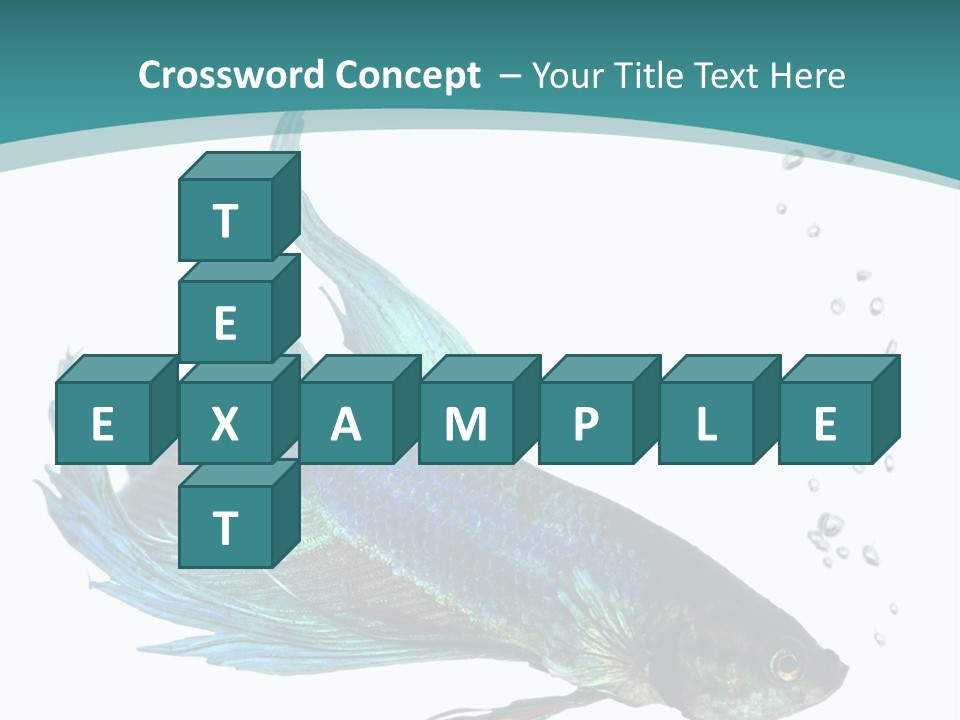 Shot Of A Blue Siamese Fighting Fish Under Water In Front Of A White Background PowerPoint Template