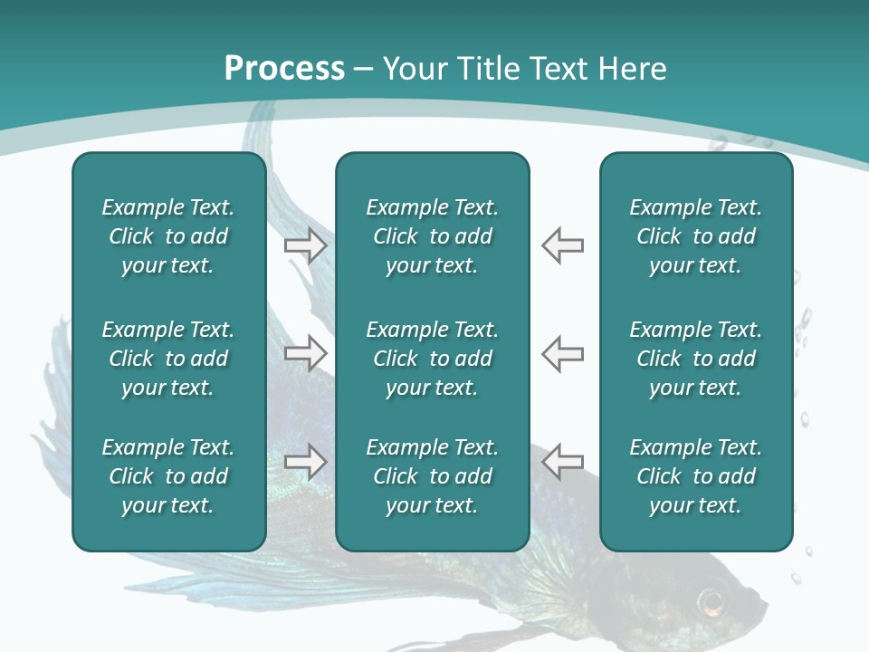 Shot Of A Blue Siamese Fighting Fish Under Water In Front Of A White Background PowerPoint Template