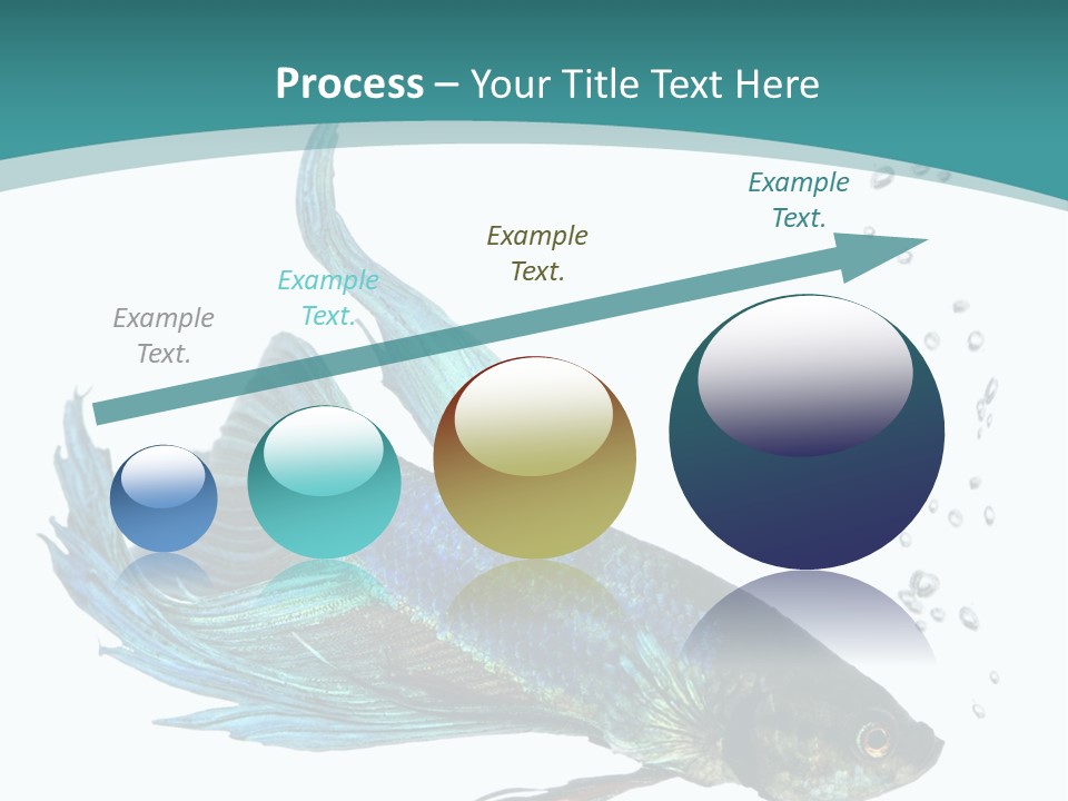 Shot Of A Blue Siamese Fighting Fish Under Water In Front Of A White Background PowerPoint Template