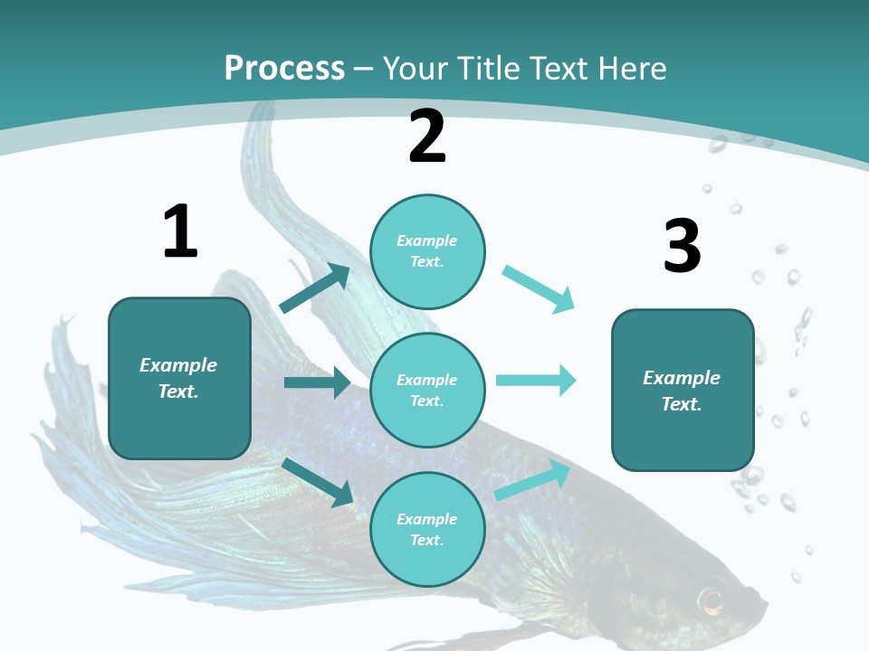 Shot Of A Blue Siamese Fighting Fish Under Water In Front Of A White Background PowerPoint Template