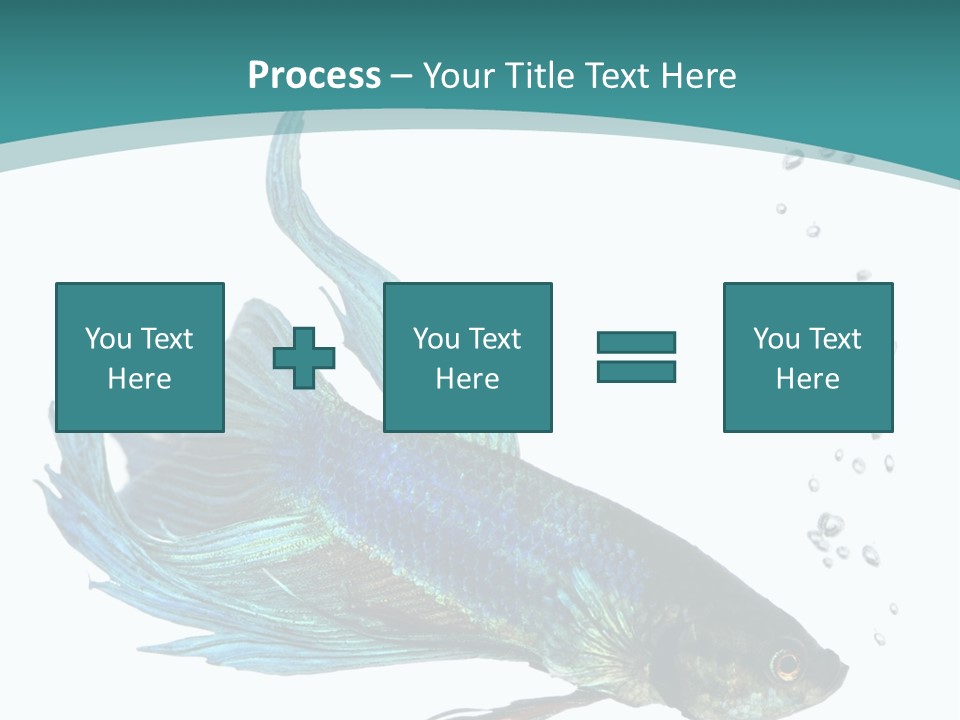 Shot Of A Blue Siamese Fighting Fish Under Water In Front Of A White Background PowerPoint Template