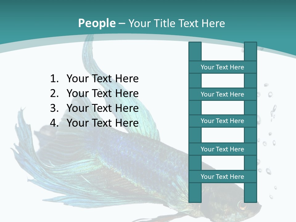 Shot Of A Blue Siamese Fighting Fish Under Water In Front Of A White Background PowerPoint Template