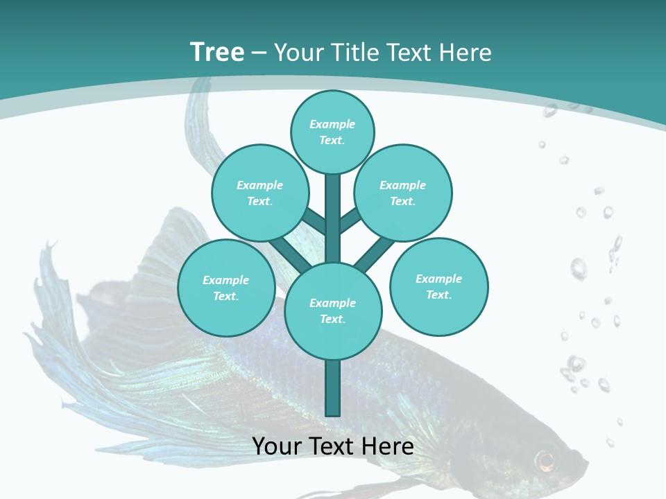 Shot Of A Blue Siamese Fighting Fish Under Water In Front Of A White Background PowerPoint Template