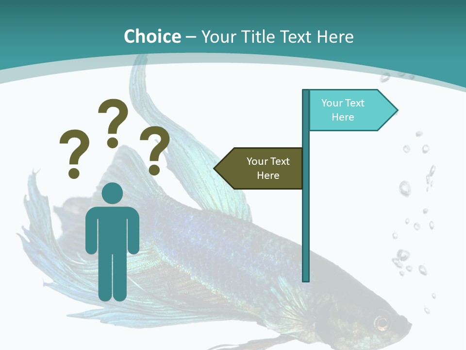 Shot Of A Blue Siamese Fighting Fish Under Water In Front Of A White Background PowerPoint Template