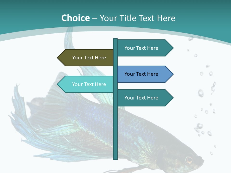 Shot Of A Blue Siamese Fighting Fish Under Water In Front Of A White Background PowerPoint Template