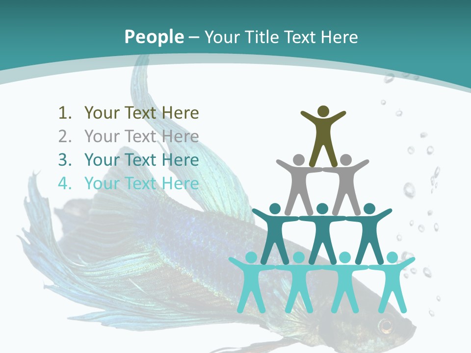 Shot Of A Blue Siamese Fighting Fish Under Water In Front Of A White Background PowerPoint Template