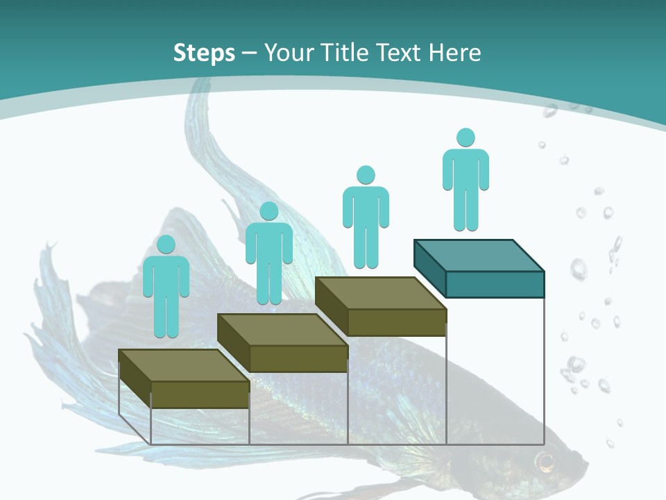 Shot Of A Blue Siamese Fighting Fish Under Water In Front Of A White Background PowerPoint Template