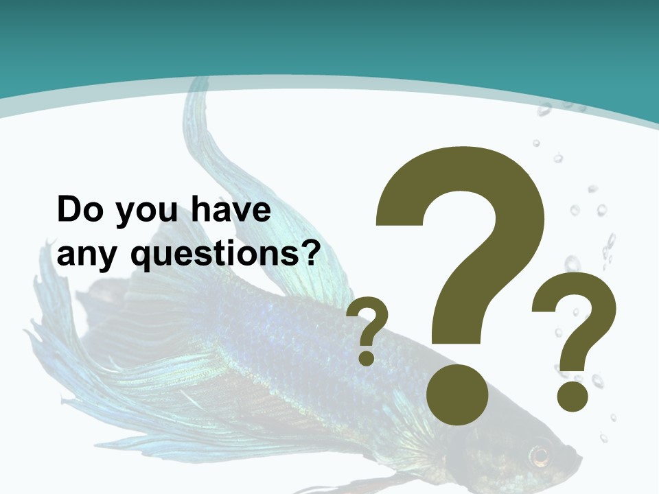 Shot Of A Blue Siamese Fighting Fish Under Water In Front Of A White Background PowerPoint Template