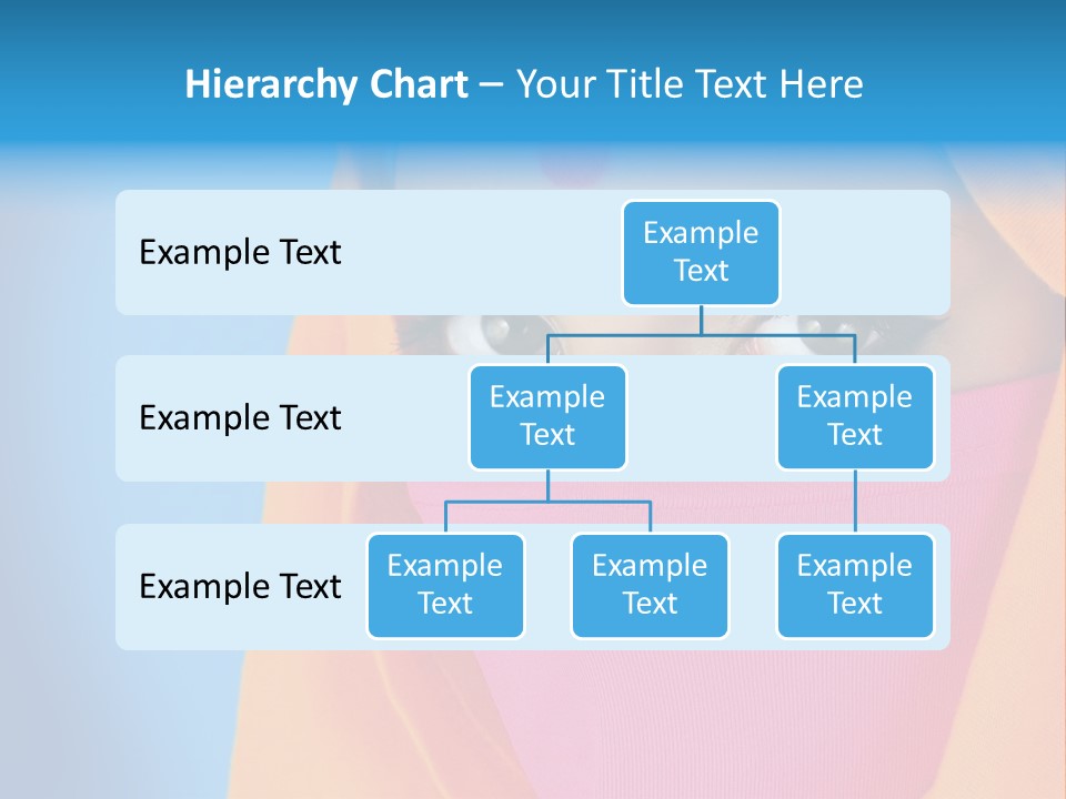 Face Of A Indian Woman. PowerPoint Template
