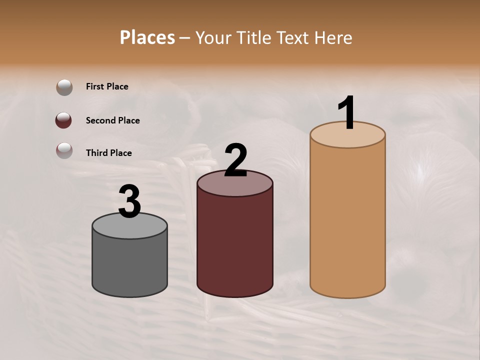 Litter Of American Cocker Spaniel Puppies PowerPoint Template