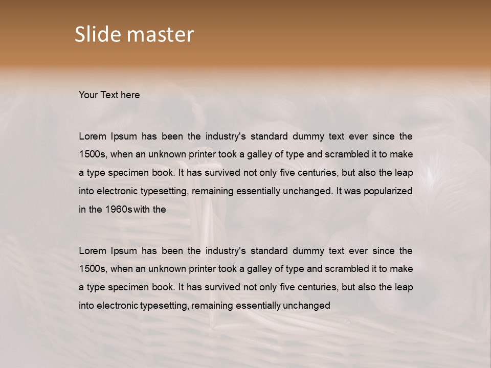 Litter Of American Cocker Spaniel Puppies PowerPoint Template