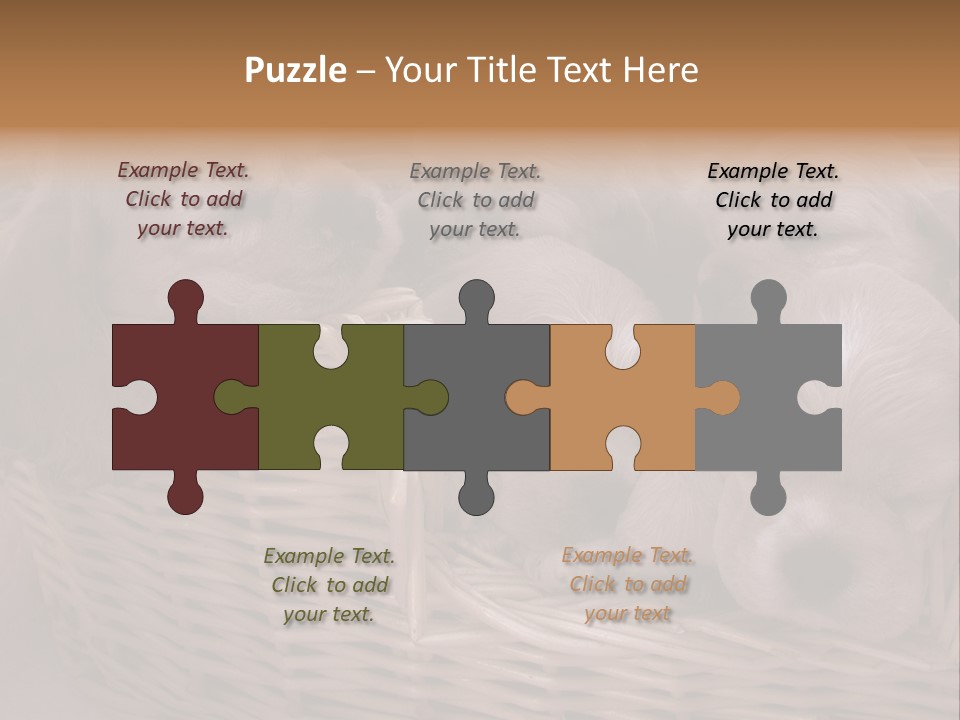 Litter Of American Cocker Spaniel Puppies PowerPoint Template