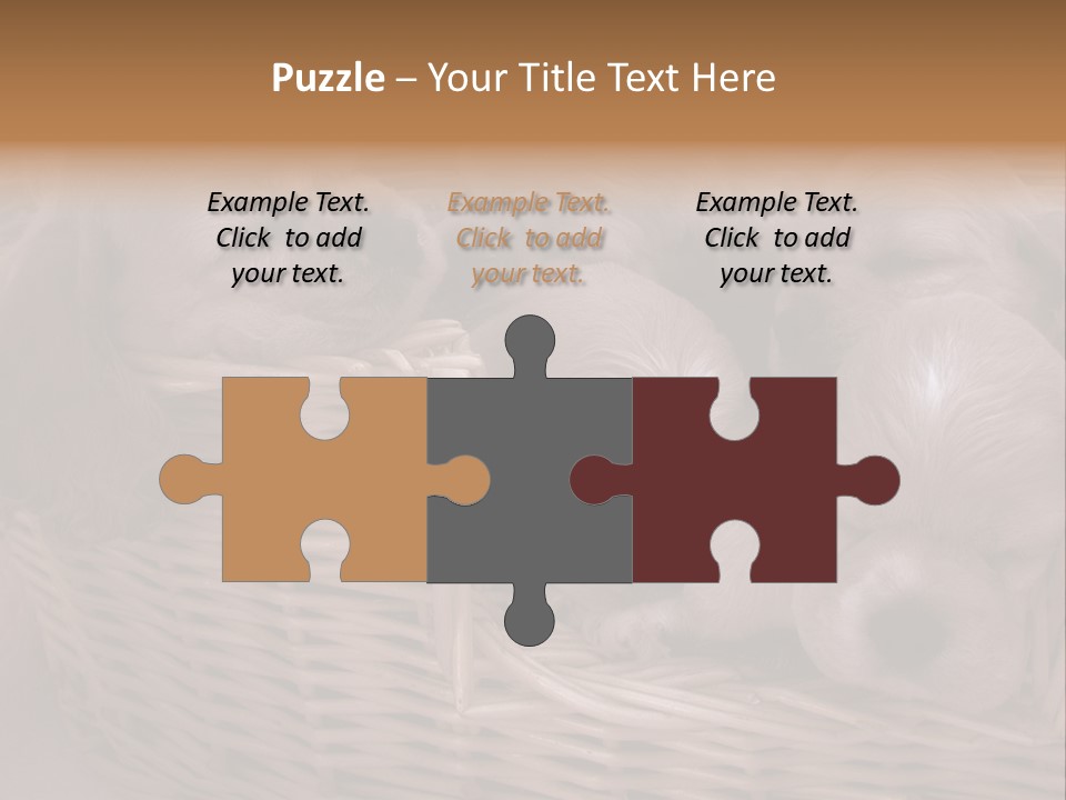 Litter Of American Cocker Spaniel Puppies PowerPoint Template