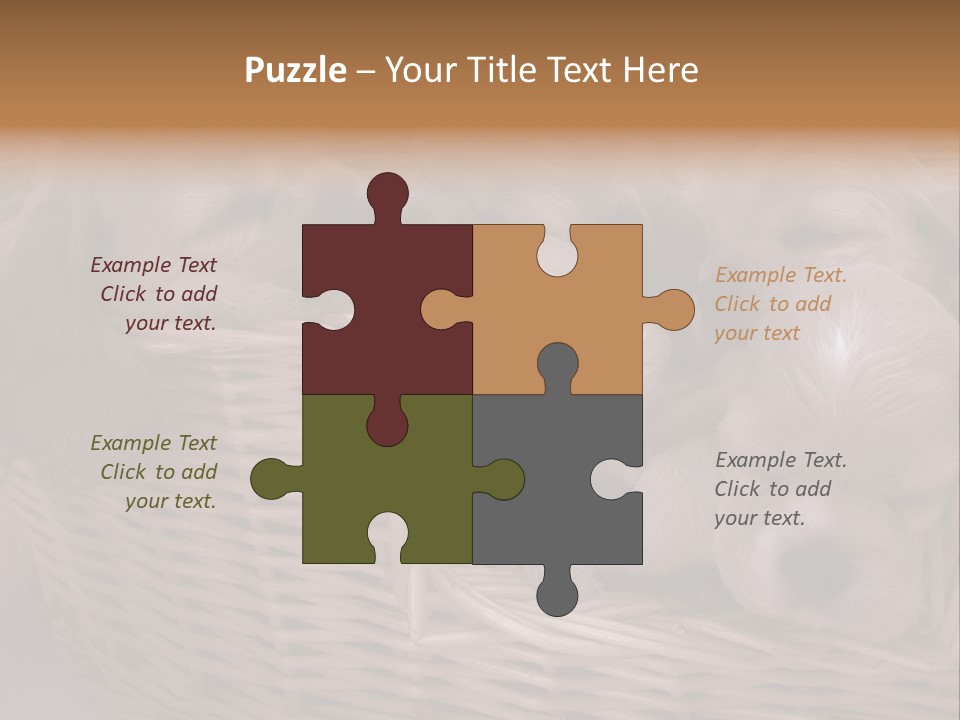 Litter Of American Cocker Spaniel Puppies PowerPoint Template