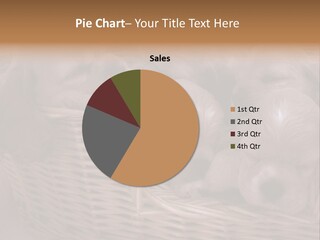 Litter Of American Cocker Spaniel Puppies PowerPoint Template