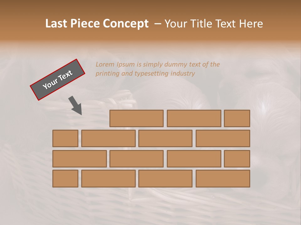 Litter Of American Cocker Spaniel Puppies PowerPoint Template