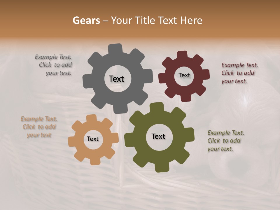 Litter Of American Cocker Spaniel Puppies PowerPoint Template