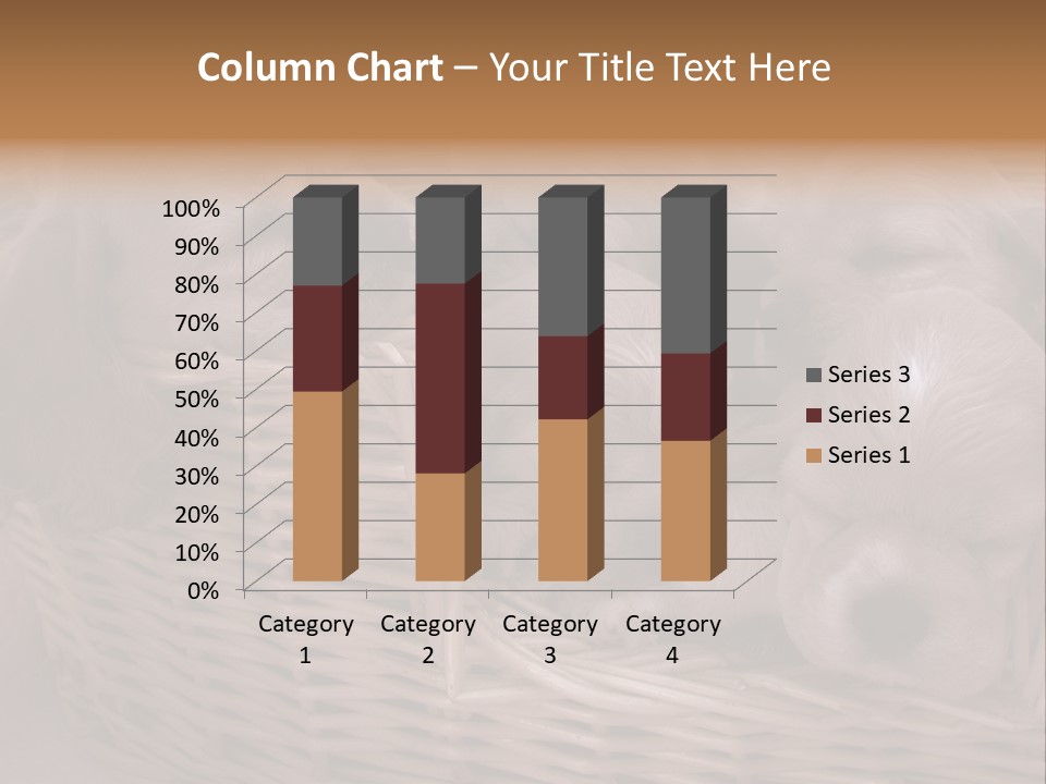 Litter Of American Cocker Spaniel Puppies PowerPoint Template