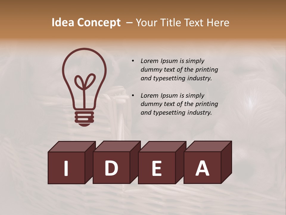 Litter Of American Cocker Spaniel Puppies PowerPoint Template