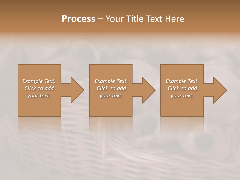Litter Of American Cocker Spaniel Puppies PowerPoint Template