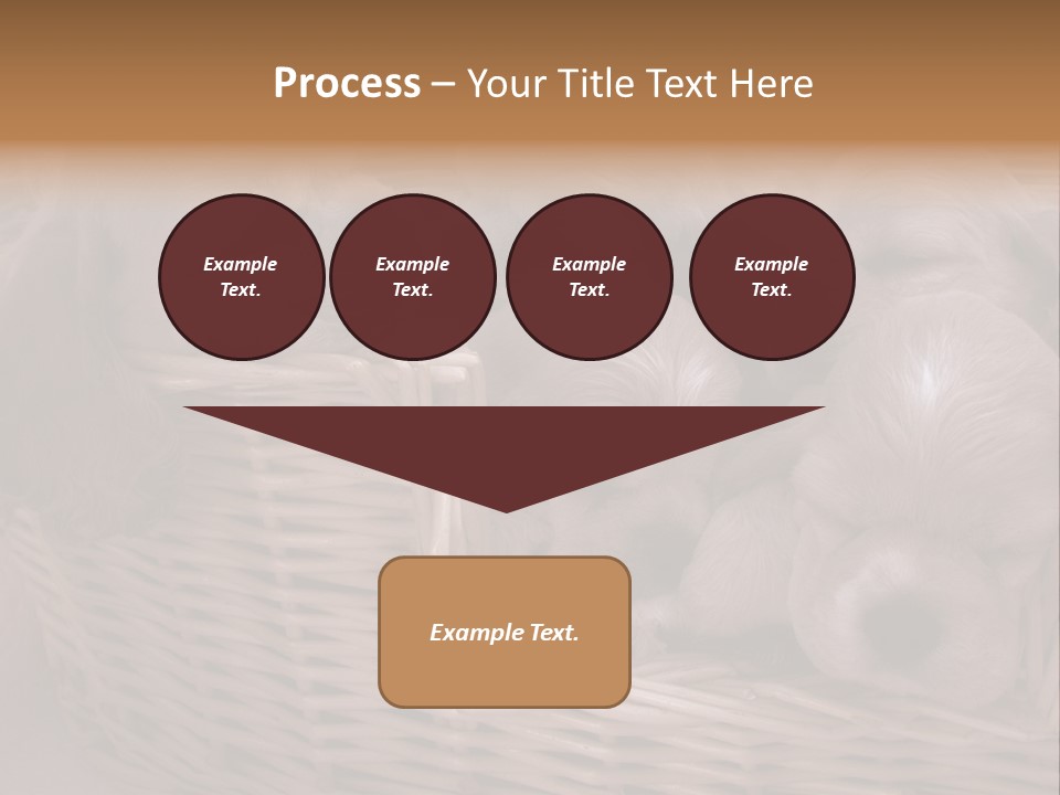 Litter Of American Cocker Spaniel Puppies PowerPoint Template