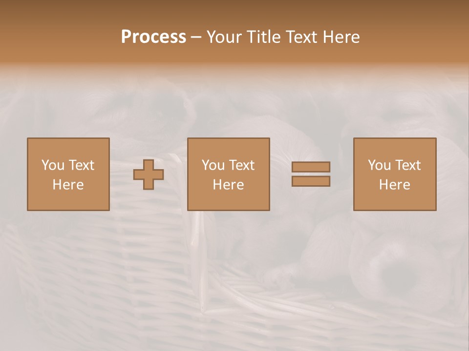 Litter Of American Cocker Spaniel Puppies PowerPoint Template