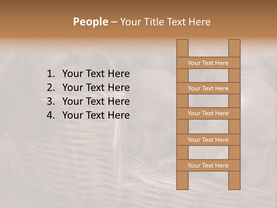 Litter Of American Cocker Spaniel Puppies PowerPoint Template