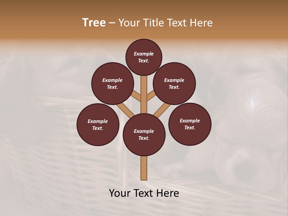 Litter Of American Cocker Spaniel Puppies PowerPoint Template
