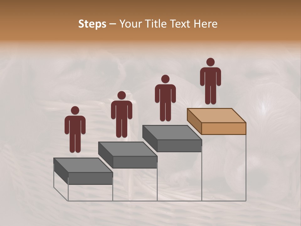 Litter Of American Cocker Spaniel Puppies PowerPoint Template