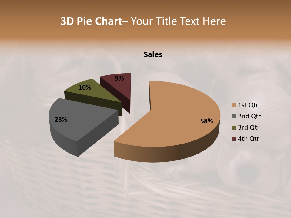 Litter Of American Cocker Spaniel Puppies PowerPoint Template