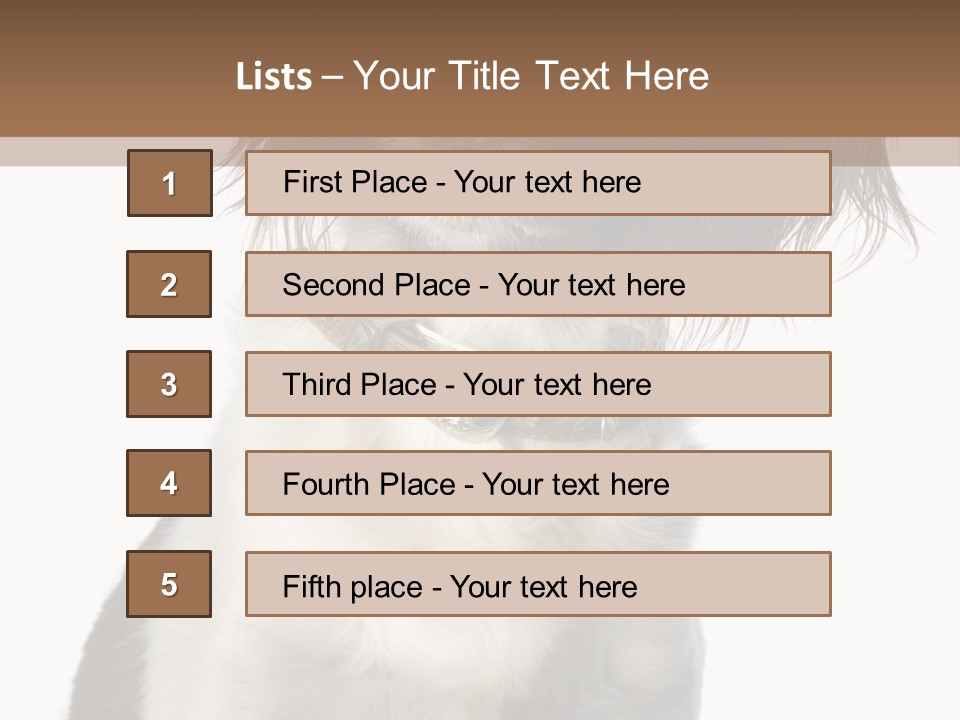 American Water Spaniel PowerPoint Template