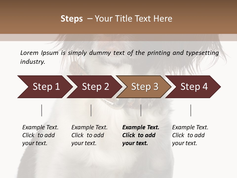 American Water Spaniel PowerPoint Template