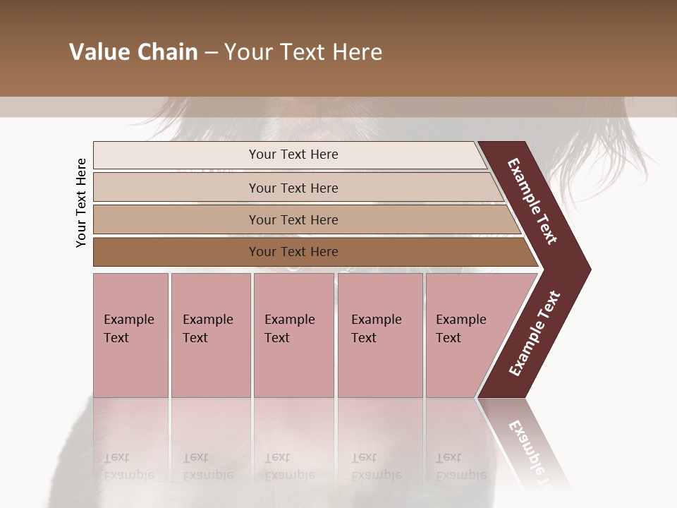American Water Spaniel PowerPoint Template