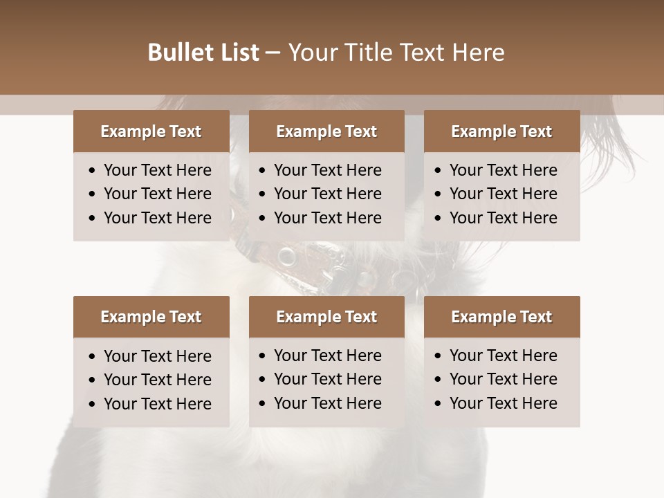 American Water Spaniel PowerPoint Template