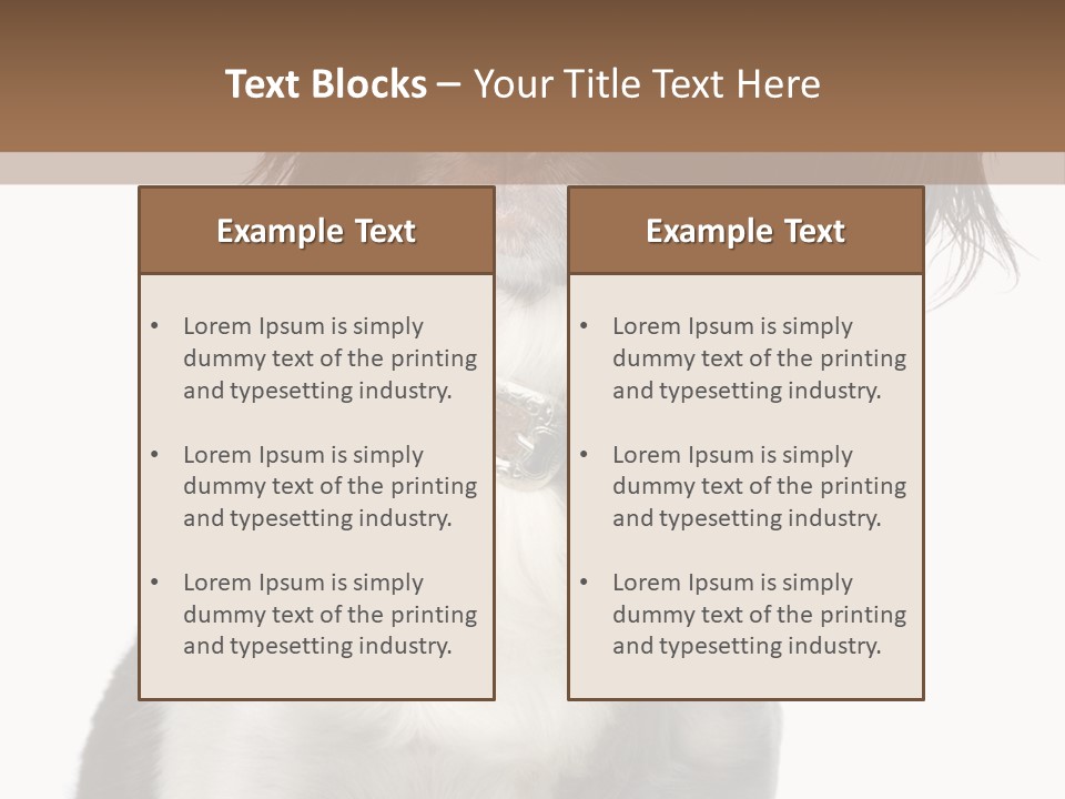 American Water Spaniel PowerPoint Template