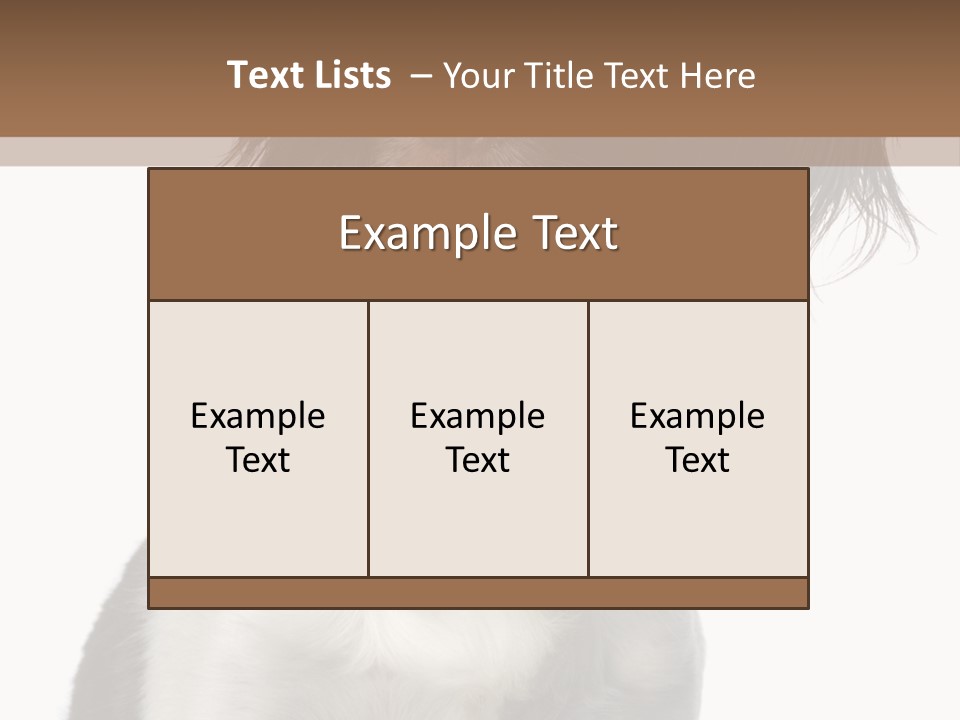 American Water Spaniel PowerPoint Template