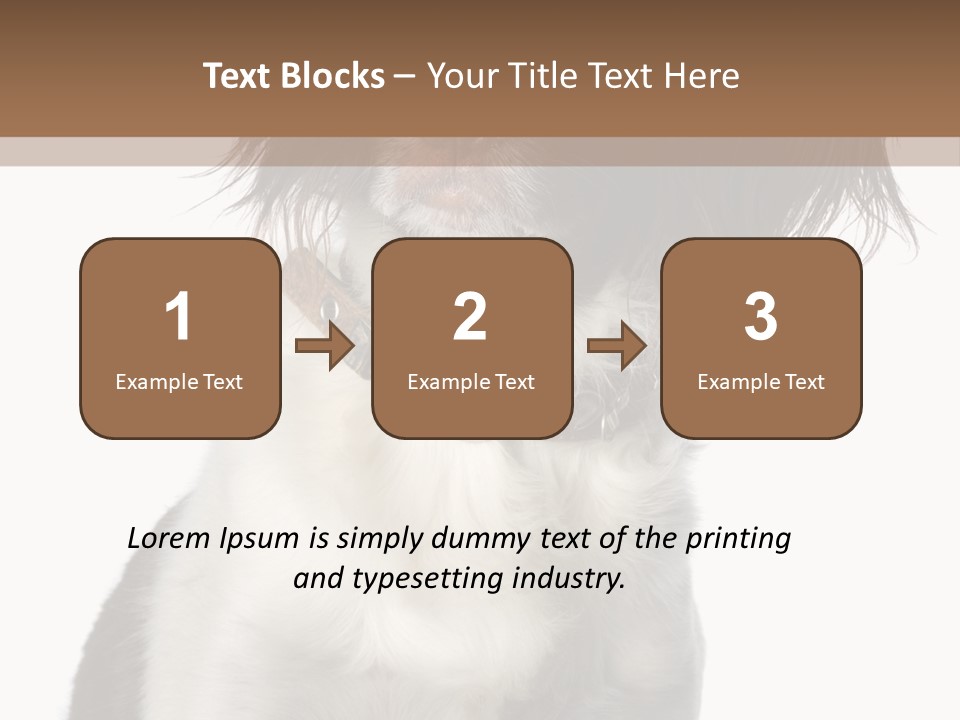 American Water Spaniel PowerPoint Template