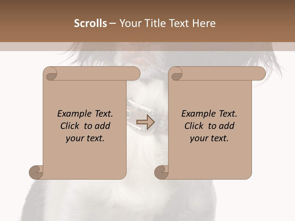 American Water Spaniel PowerPoint Template