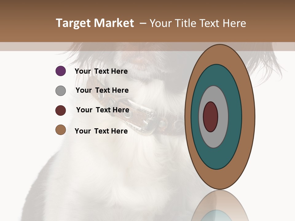 American Water Spaniel PowerPoint Template