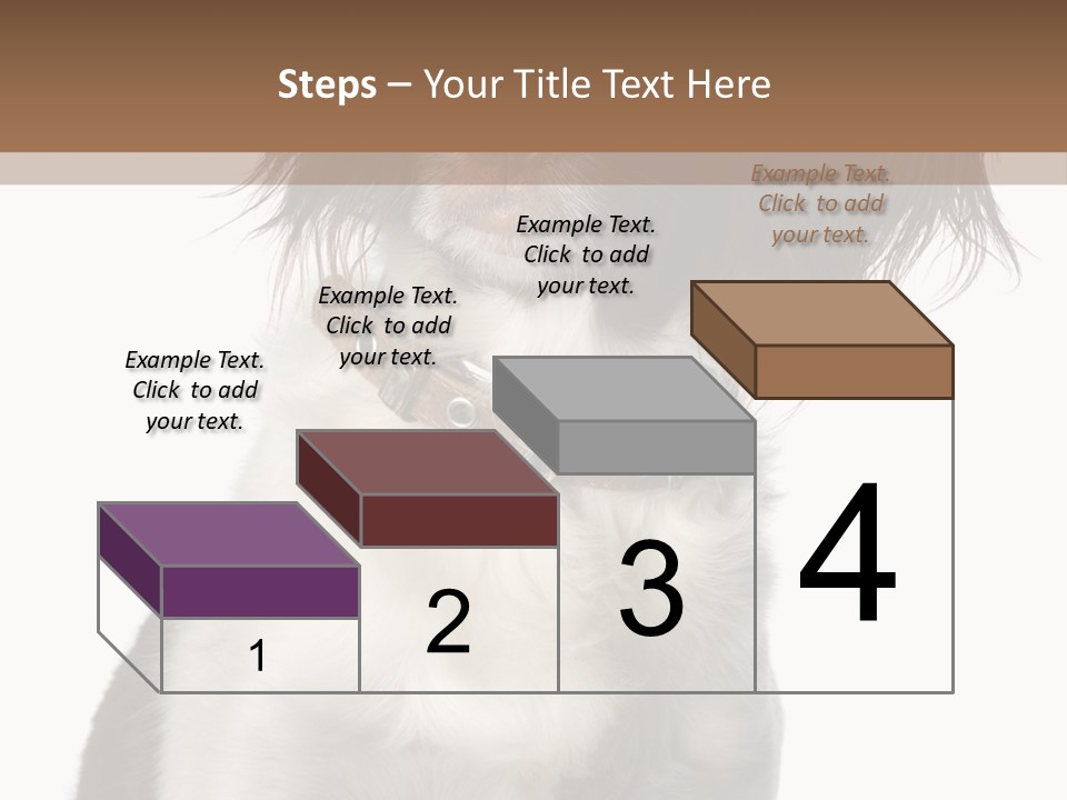 American Water Spaniel PowerPoint Template