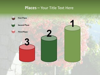 Flower Basket PowerPoint Template